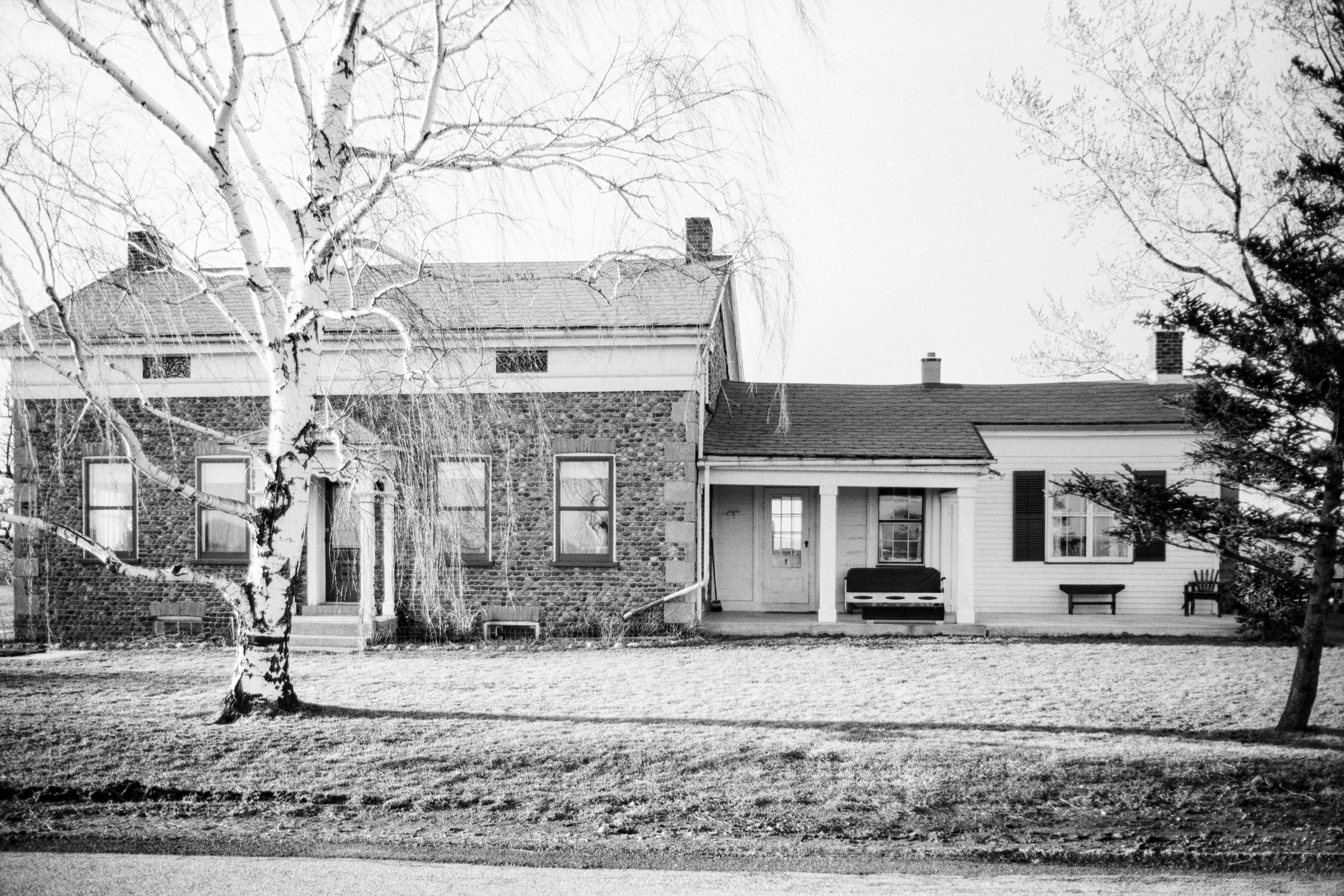 Monroe Chili Chi-5_2 N